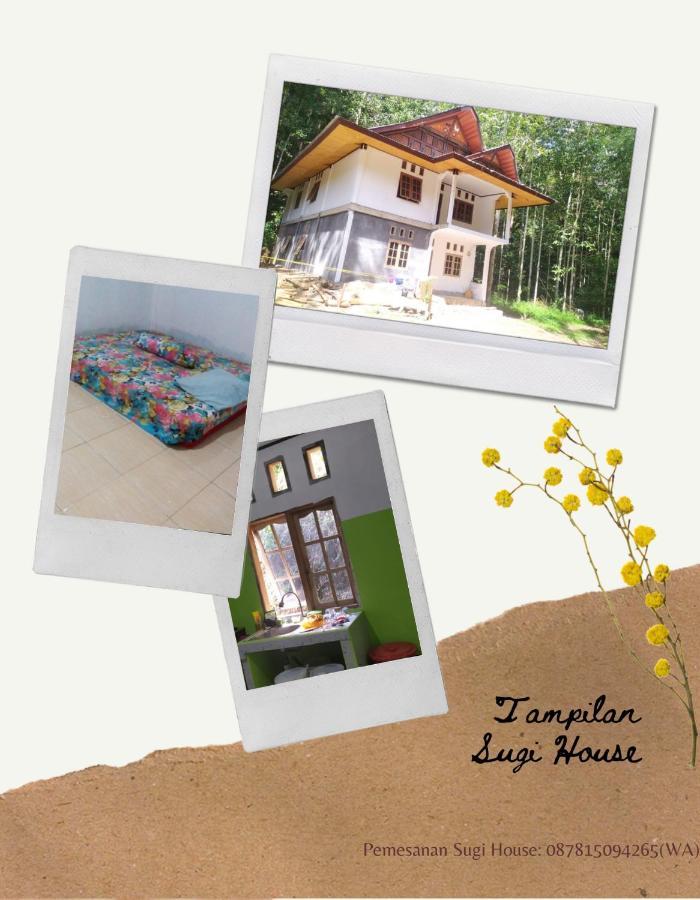 Sugi House Toraja - Villa Penginapan Sewa Harian Rantepao Zewnętrze zdjęcie