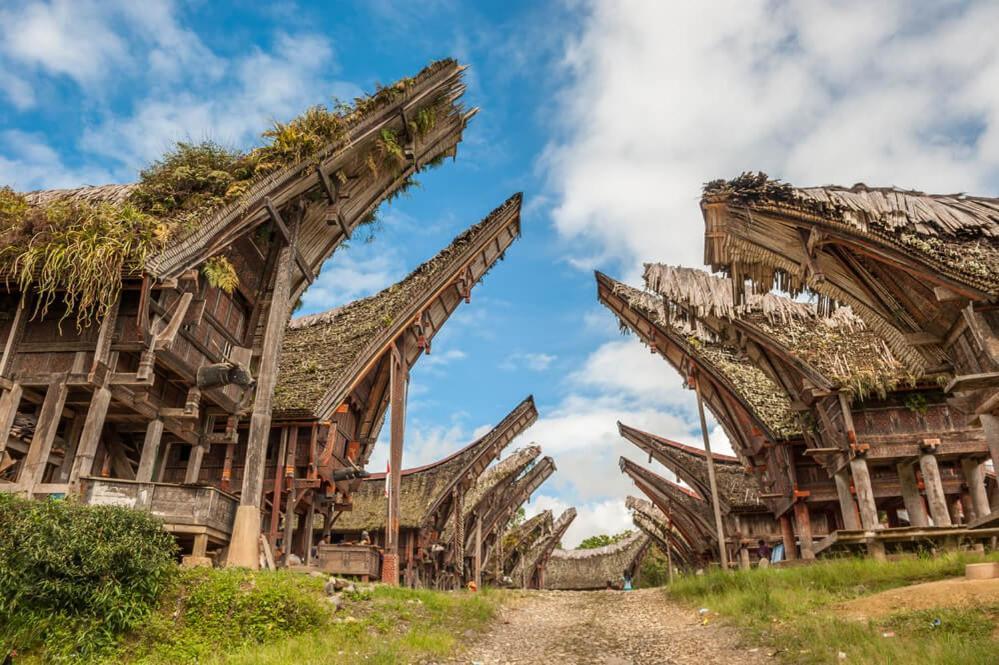 Sugi House Toraja - Villa Penginapan Sewa Harian Rantepao Zewnętrze zdjęcie